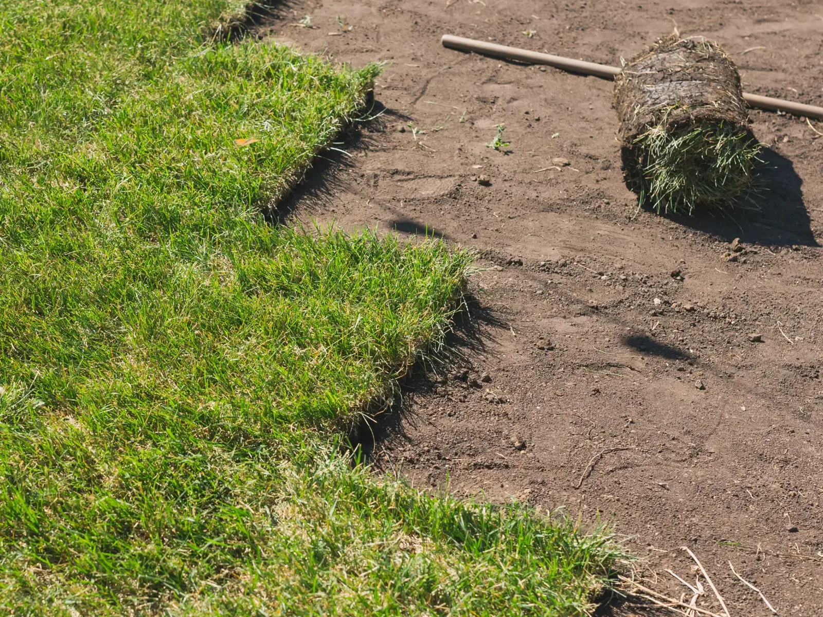 Freshly laid turf lawn – turfing by Fines Landscaping, King's Lynn