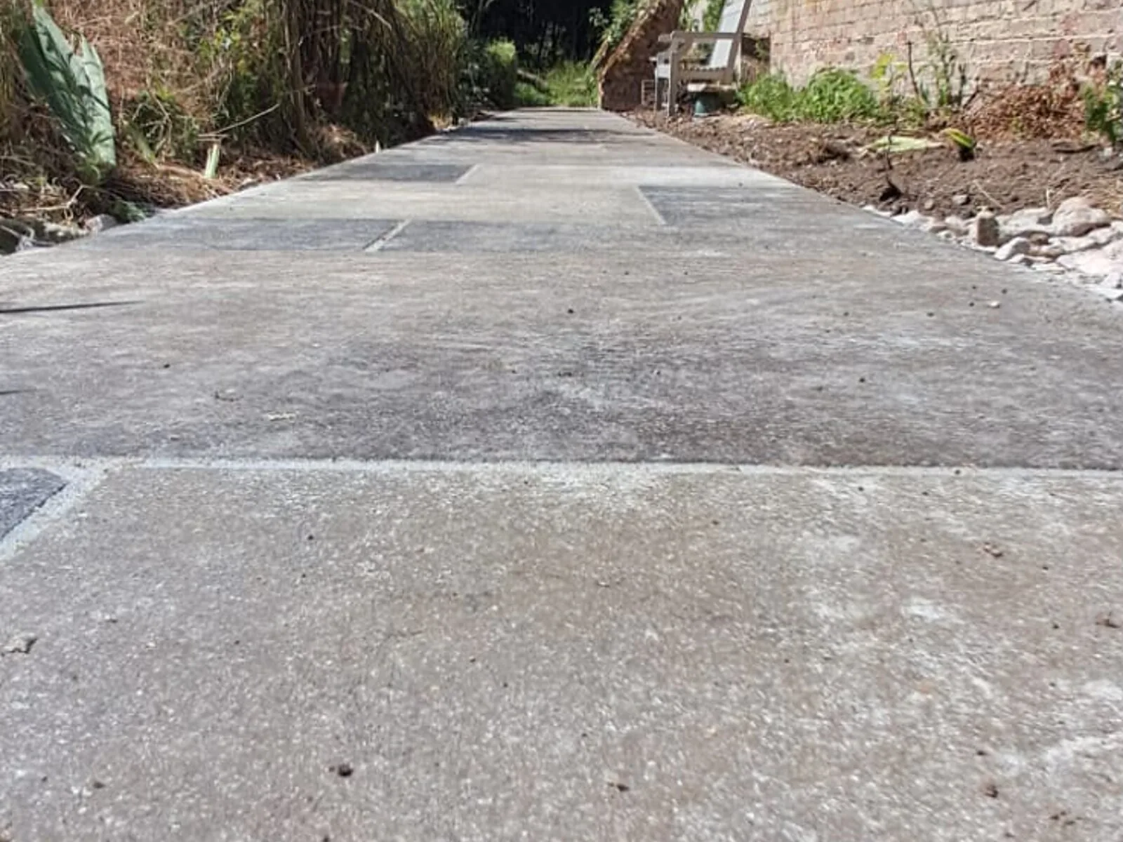 Long paved garden path between a hedge and boundary – Fines Landscaping, West Norfolk